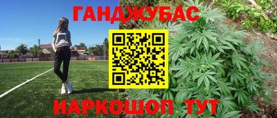 крисы Обь
