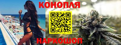 крисы Обь