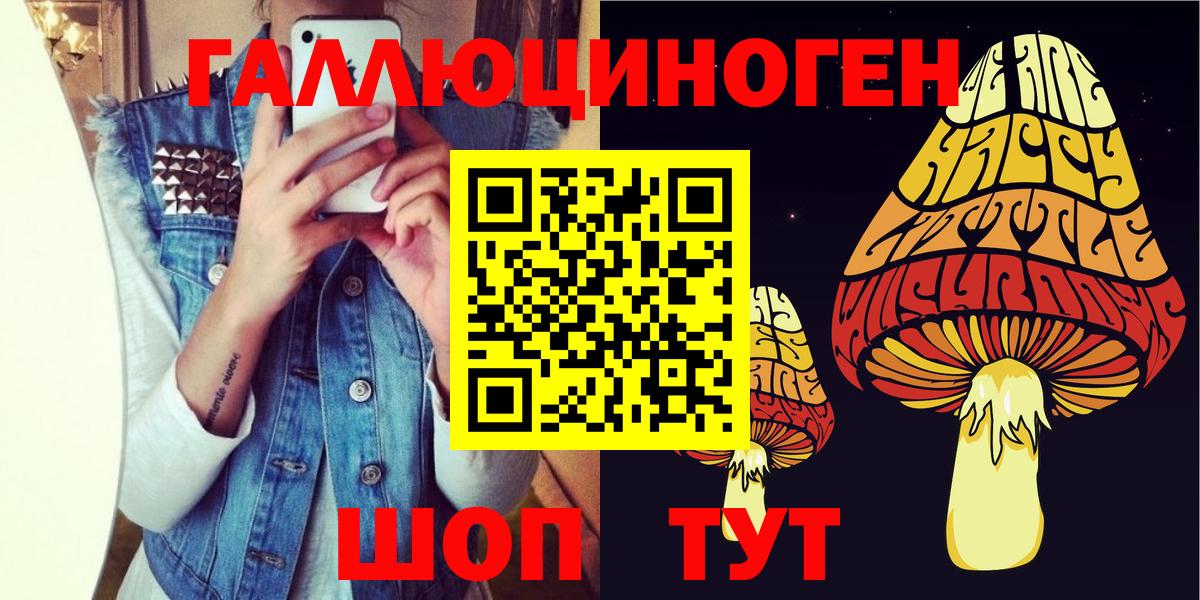 Псилоцибиновые грибы GOLDEN TEACHER  Вход с VPN  Приморско-Ахтарск 